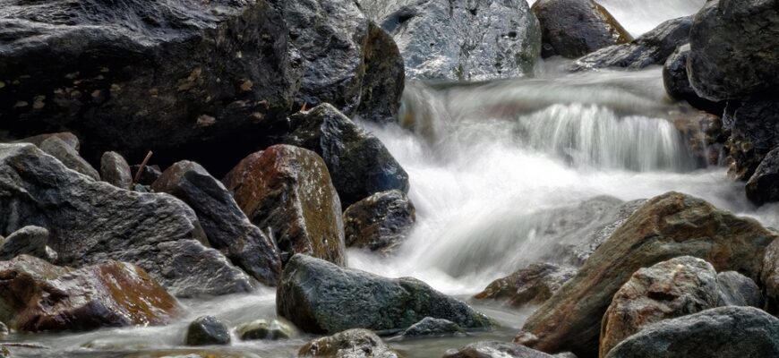 сценарій новорічного свята
