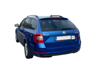 цикорій користь і шкода