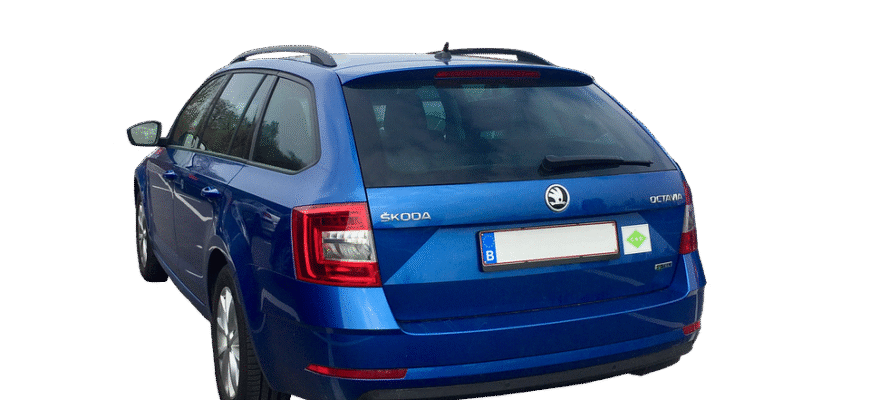 цикорій користь і шкода