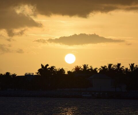 сценарій вертепу на 12 осіб