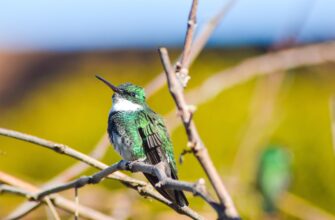 сценарій вшанування памʼяті загиблих захисників україни