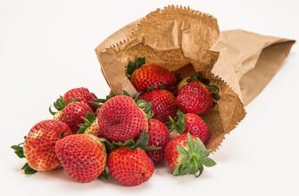 ягоди годжі користь і шкода