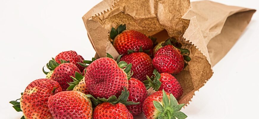 ягоди годжі користь і шкода