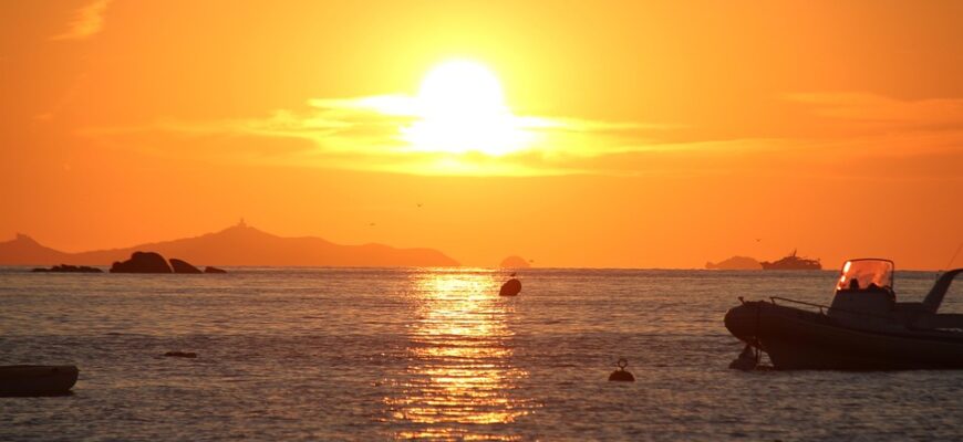 що означає коли сняться коти