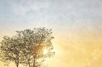 сценарій новорічної казки для молодших школярів