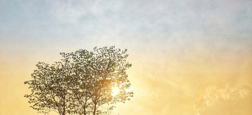 сценарій новорічної казки для молодших школярів