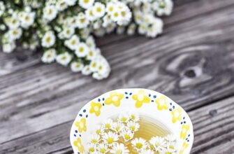 чай з ромашки користь і шкода