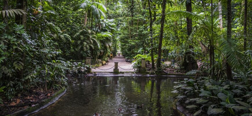 сценарій до дня поезії