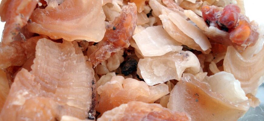 гуарова камедь користь і шкода