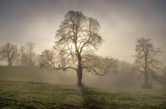 вислови відомих людей
