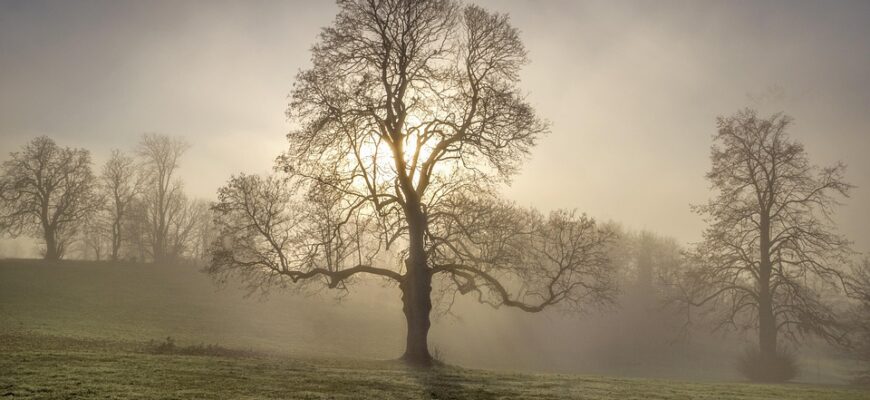 вислови відомих людей
