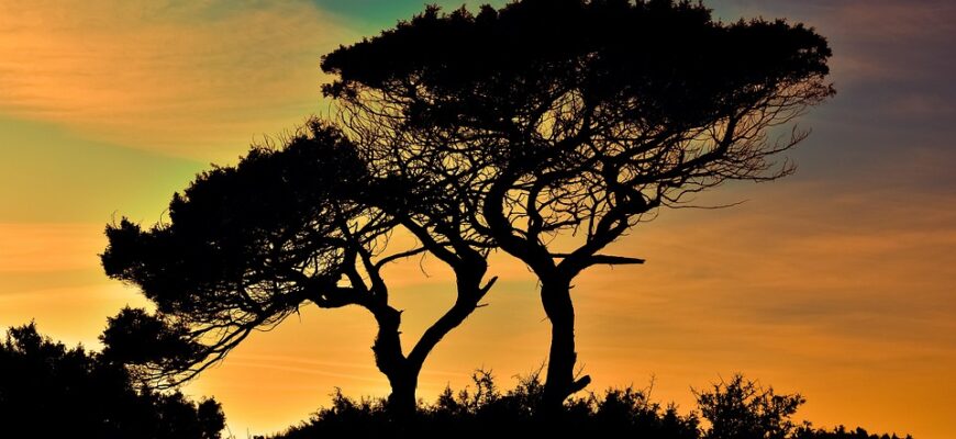 Запрошення на каву: Найкращі способи провести час з друзями та родиною