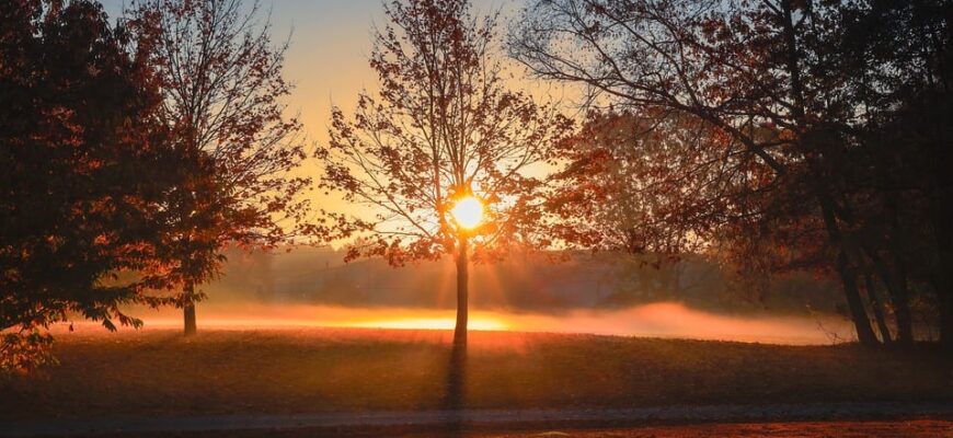 сценарій до дня миру