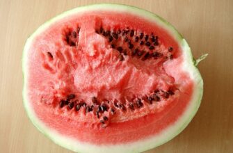 кавун користь і шкода