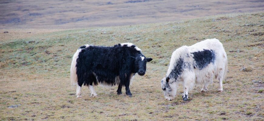 хтозна який