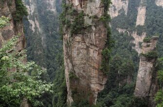 алилуя що означає