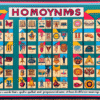 слова омоніми приклади