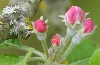 що означає 23 23 на годиннику