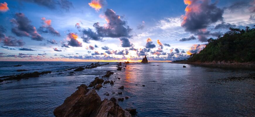 кисло солодкий