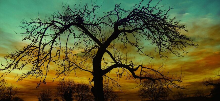 що означає чорний кал