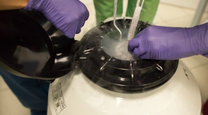 Ексклюзив«Знищити ембріони за три місяці»: Асоціація репродуктологів виступила проти законопроєкту МОЗ, якого публічно ще не існує