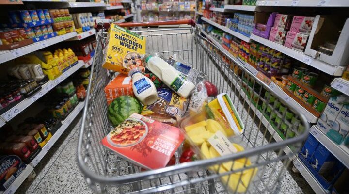 У 30 % продуктів були трансжири, а мало бути 0: перші результати великого дослідження ВООЗ в Україні