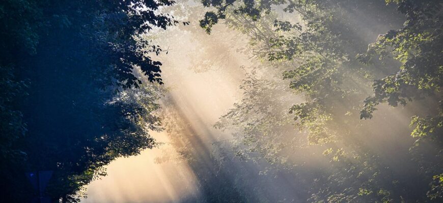 рано вранці