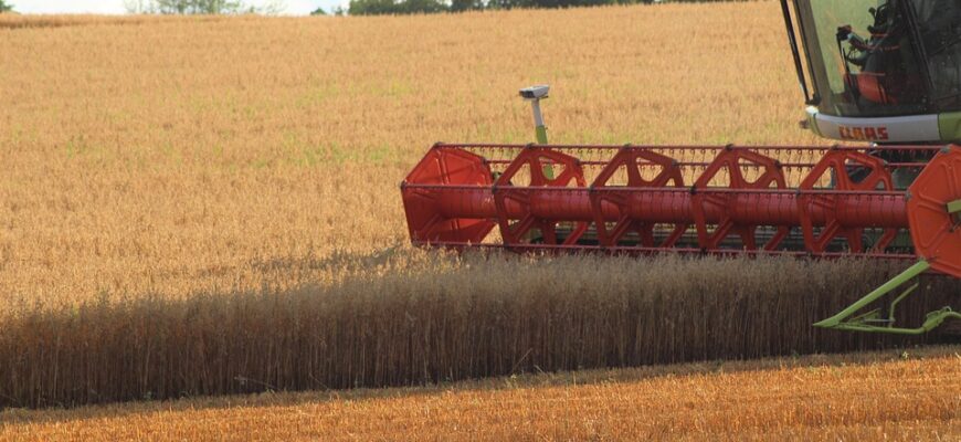 що означає слово треш