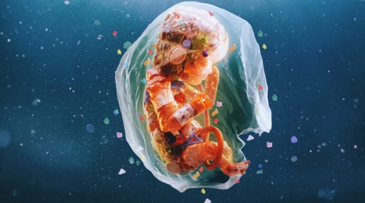 Як пластик впливає на нас ще до народження, і що з цим робити