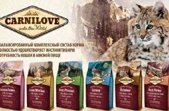 корм Карнилав для котов