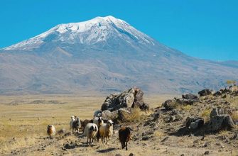 гора Арарат