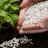 Як правильно вносити сульфат амонію в різні типи ґрунтів