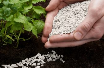 Як правильно вносити сульфат амонію в різні типи ґрунтів